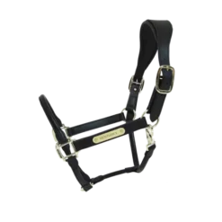 Kentucky Horsewear Anatomic Leather Halter -Exquisite Equestrian Equipment Store 01 e8502ded370e565d04389cf2c54c4715 article photobook crop 2 png
