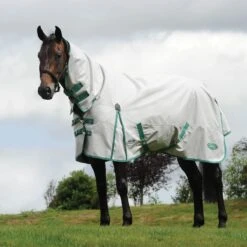 WeatherBeeta Green-Tec 900D Combo Neck Lite Plus Turnout Rug 31 WeatherBeeta Green-Tec 900D Combo Neck Lite Plus Turnout Rug -Exquisite Equestrian Equipment Store 013cb9e58af4d0a5234e8ce11b149787 1