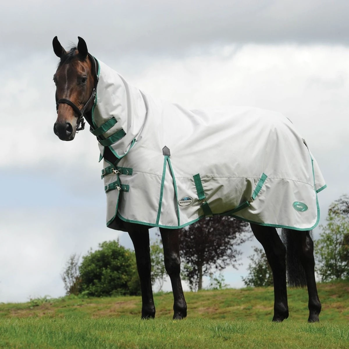 WeatherBeeta Green-Tec 900D Combo Neck Lite Plus Turnout Rug 12 WeatherBeeta Green-Tec 900D Combo Neck Lite Plus Turnout Rug - Image 10