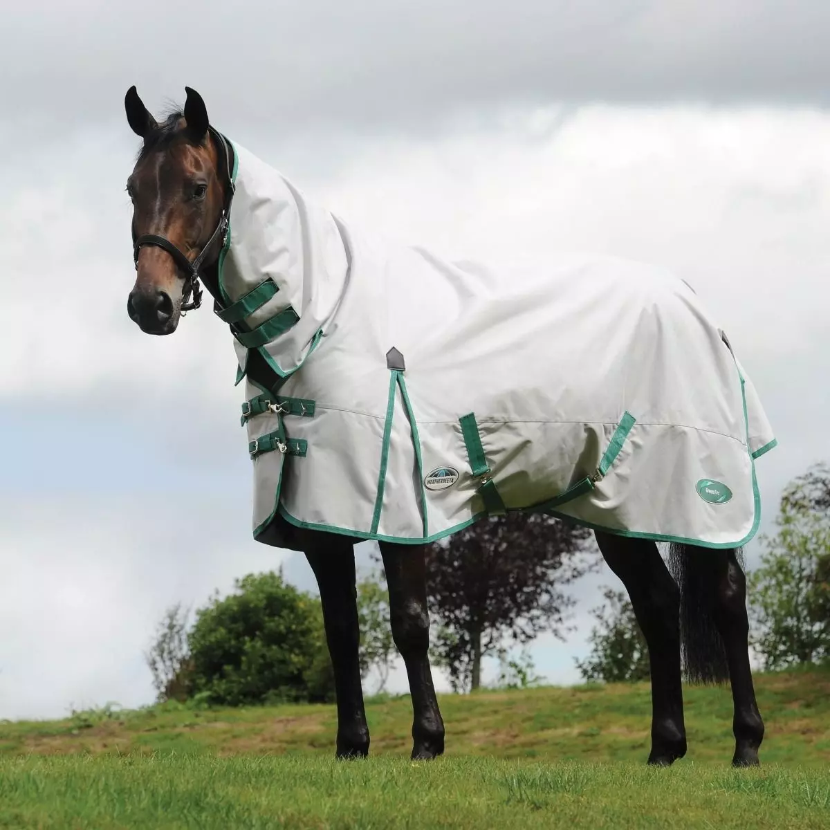 WeatherBeeta Green-Tec 900D Combo Neck Lite Plus Turnout Rug 5 WeatherBeeta Green-Tec 900D Combo Neck Lite Plus Turnout Rug - Image 3