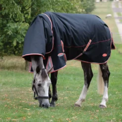 Weatherbeeta Comfitec Premier With Therapy-Tec Detach-A-Neck Medium Turnout Rug 19 Weatherbeeta Comfitec Premier With Therapy-Tec Detach-A-Neck Medium Turnout Rug -Exquisite Equestrian Equipment Store 1001614006 wb cft prm thrpy dn med grazing image lifestyle1 1 2 jpg