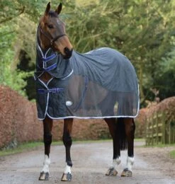 WeatherBeeta Wick-Dri II Cooler Combo Neck Rug - Charcoal -Exquisite Equestrian Equipment Store 1002924010 wb wickdri clr cb 3qs image lifestyle1 2 2