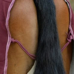 Weatherbeeta Sherpa Fleece Cooler Standard Neck 28 Weatherbeeta Sherpa Fleece Cooler Standard Neck -Exquisite Equestrian Equipment Store 1003910006 wb sherpa fleece cooler stn detail image lifestyle5 5