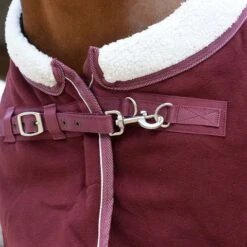 Weatherbeeta Sherpa Fleece Cooler Standard Neck 27 Weatherbeeta Sherpa Fleece Cooler Standard Neck -Exquisite Equestrian Equipment Store 1003910006 wb sherpa fleece cooler stn detail image lifestyle 10