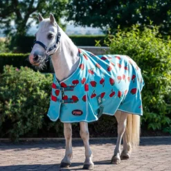 Gallop Ponie Lightweight Turnout Cherries And Berries 32 Gallop Ponie Lightweight Turnout Cherries And Berries -Exquisite Equestrian Equipment Store 1006 1 1 1 jpg
