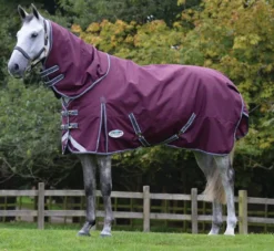 WeatherBeeta ComFiTec Plus Dynamic II Detach-A-Neck Medium -Exquisite Equestrian Equipment Store 1006917010 wb cft pdynmc ii dan image hero null 2 14 jpg