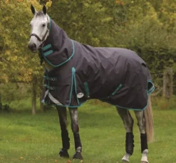 WeatherBeeta ComFiTec Plus Dynamic II Detach-A-Neck Medium -Exquisite Equestrian Equipment Store 1006917025 wb cft pdynmc dan image lifestyle 12 jpg