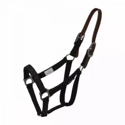 ThinLine Flexible Breakaway Field Safe Headcollar 26 ThinLine Flexible Breakaway Field Safe Headcollar -Exquisite Equestrian Equipment Store 1077 72d951bddae43275268ba2831f20245a 1 5 jpg