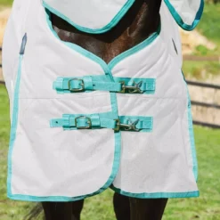 WeatherBeeta Green-Tec 900D Combo Neck Lite Plus Turnout Rug 33 WeatherBeeta Green-Tec 900D Combo Neck Lite Plus Turnout Rug -Exquisite Equestrian Equipment Store 10b094fe673a567ece79612258dc018c 10 jpg