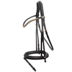 Schockemohle Classic Line Colombo Flash Bridle -Exquisite Equestrian Equipment Store 1100 00069 colombo blackgoldywonz0vsr4sh3 1 1 jpg