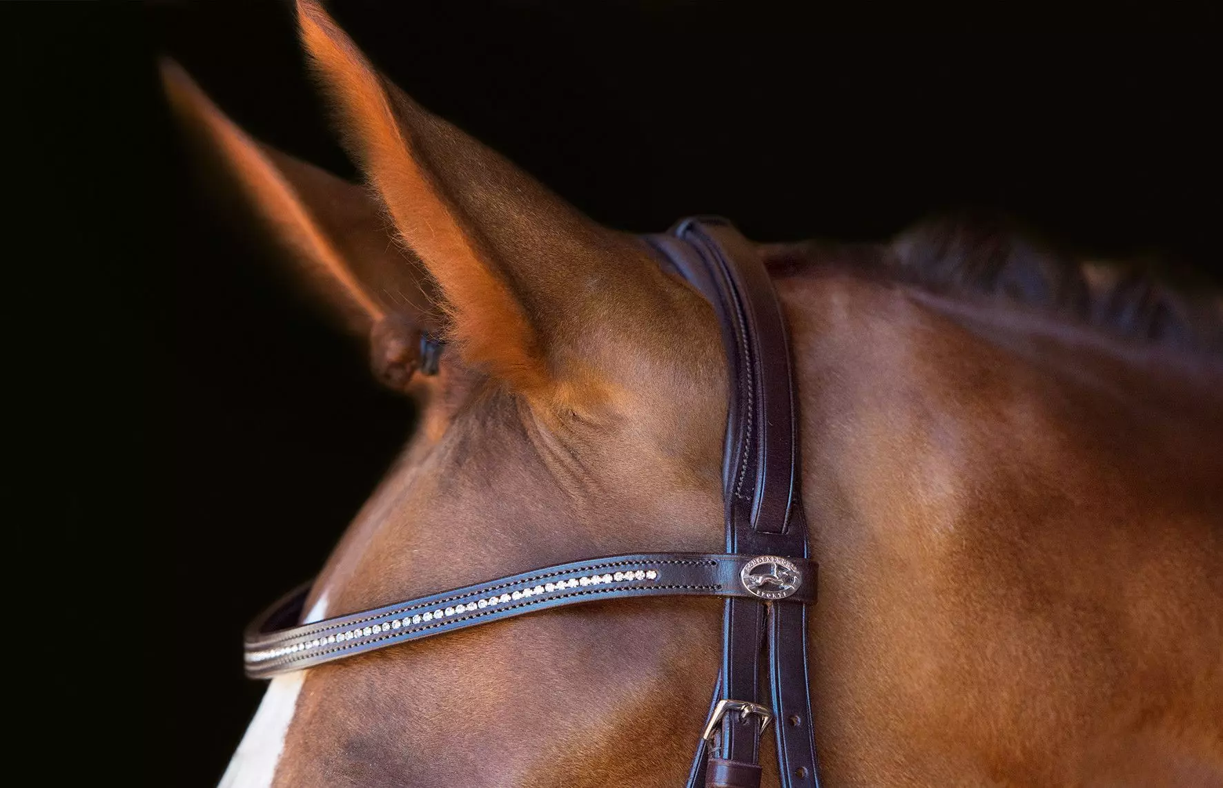 Schockemohle Classic Line Copenhagen Drop Noseband Bridle 12 Schockemohle Classic Line Copenhagen Drop Noseband Bridle - Image 10