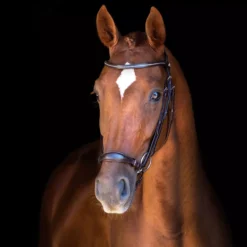 Schockemohle Classic Line Copenhagen Drop Noseband Bridle 14 Schockemohle Classic Line Copenhagen Drop Noseband Bridle -Exquisite Equestrian Equipment Store 1100 00071 copenhagen image 1 jpg