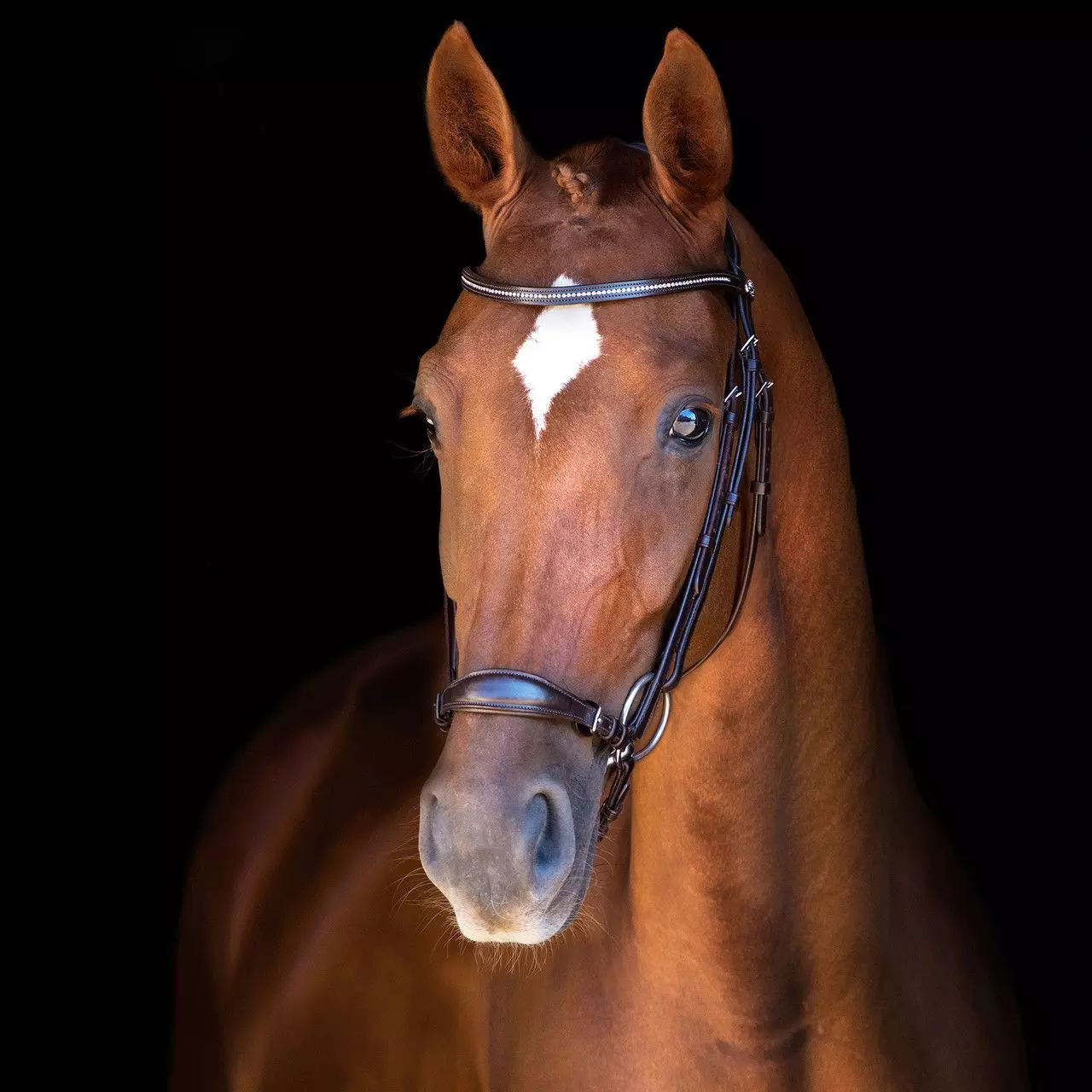 Schockemohle Classic Line Copenhagen Drop Noseband Bridle 5 Schockemohle Classic Line Copenhagen Drop Noseband Bridle - Image 3