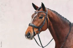 Schockemohle Equitus Beta Anatomic Flash Bridle With Crystal Browband 22 Schockemohle Equitus Beta Anatomic Flash Bridle With Crystal Browband -Exquisite Equestrian Equipment Store 1101 00045 equitus beta patentcp3lmxeyu82xf jpg