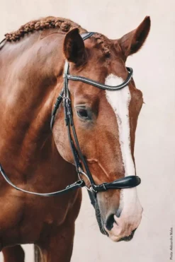 Schockemohle Anatomic Seattle Bridle 27 Schockemohle Anatomic Seattle Bridle -Exquisite Equestrian Equipment Store 1101 00054 seattle img14 1 jpg