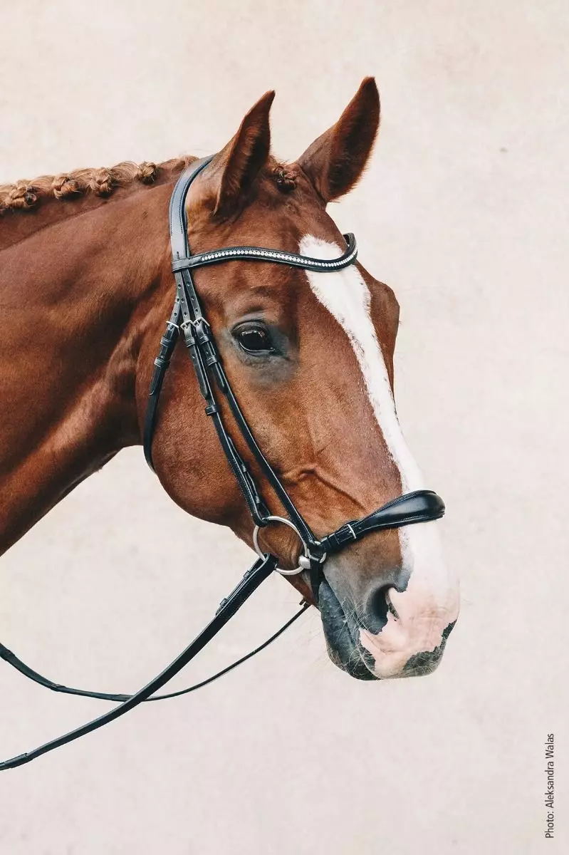 Schockemohle Anatomic Seattle Bridle 20 Schockemohle Anatomic Seattle Bridle - Image 18