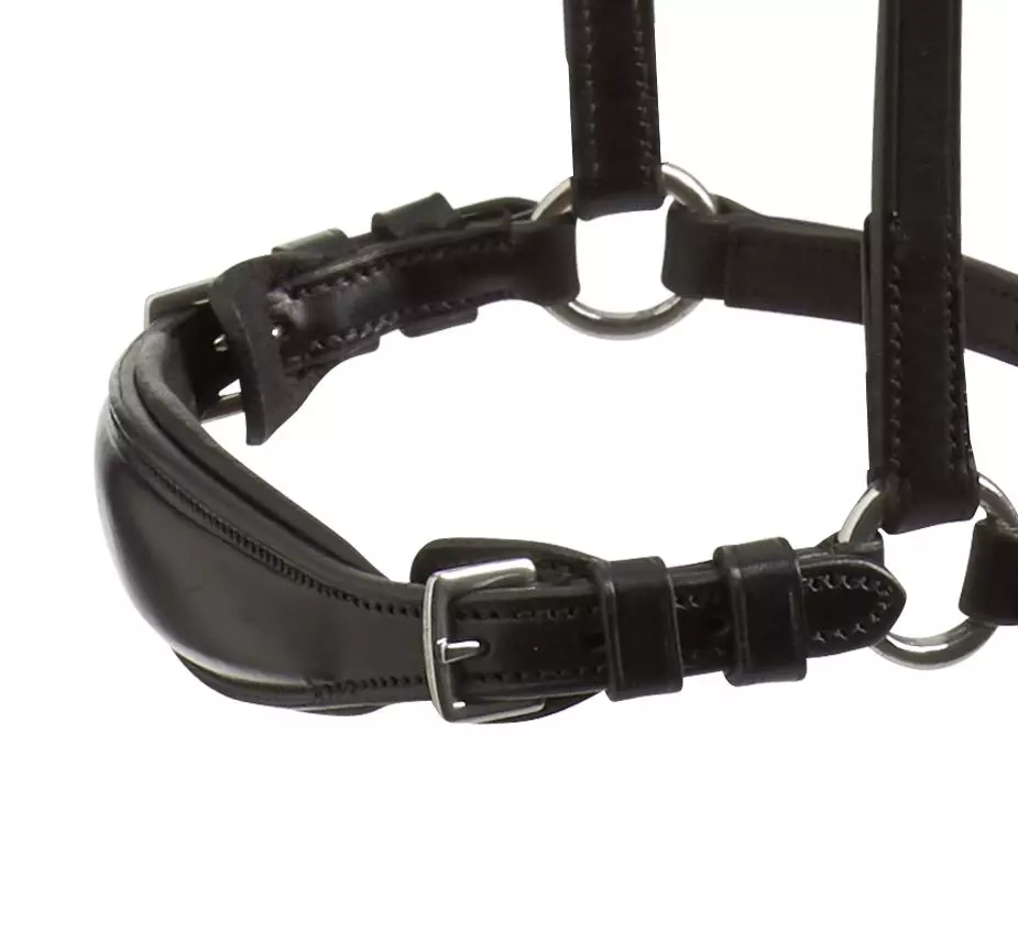 Schockemohle Anatomic Seattle Bridle 12 Schockemohle Anatomic Seattle Bridle - Image 10