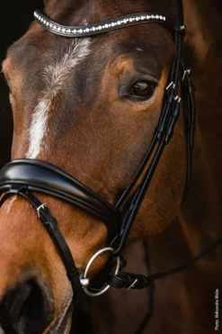 Schockemohle Anatomic Brantford Dressage Bridle 27 Schockemohle Anatomic Brantford Dressage Bridle -Exquisite Equestrian Equipment Store 1101 00059 brantford img80 1 jpg