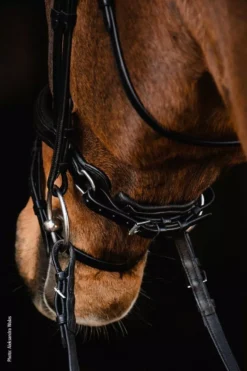 Schockemohle Anatomic Brantford Dressage Bridle 34 Schockemohle Anatomic Brantford Dressage Bridle -Exquisite Equestrian Equipment Store 1101 00059 brantford img85 1 jpg