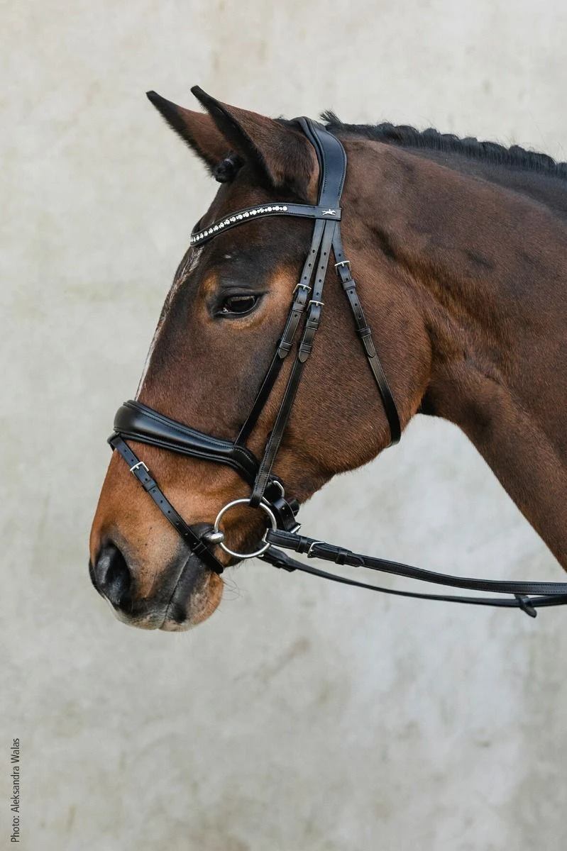 Schockemohle Anatomic Brantford Dressage Bridle 17 Schockemohle Anatomic Brantford Dressage Bridle - Image 15