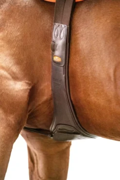 Schockemohle Portland Anatomic Long Girth -Exquisite Equestrian Equipment Store 1151 00006 7 schockemoehle sports langgurt portland espresso 6l2nd8uzheevzi 1 jpg