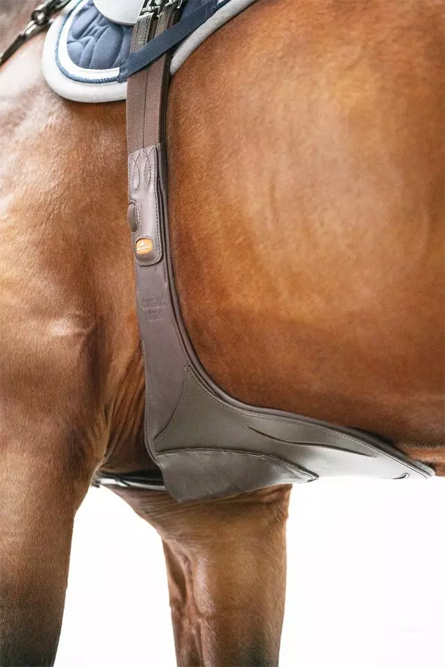 Schockemohle Oklahoma Stud Girth 9 Schockemohle Oklahoma Stud Girth - Image 7