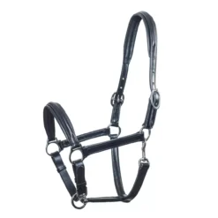 Schockemohle Ulm Leather Headcollar 9 Schockemohle Ulm Leather Headcollar -Exquisite Equestrian Equipment Store 1310 00011 ulm black silverzyc3kekmwflkh 1 1 jpg