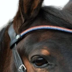 EcoRider Freedom Victoria Browband -Exquisite Equestrian Equipment Store 14498 1 4