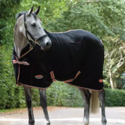 Weatherbeeta Therapy-Tec Standard Neck Rug -Exquisite Equestrian Equipment Store 1ddc46a998ad2e377d824499c019d9c6 2 8 jpg