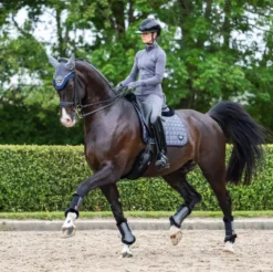 LeMieux Fleece Edge Mesh Brushing Boot 32 LeMieux Fleece Edge Mesh Brushing Boot -Exquisite Equestrian Equipment Store 1g0a4419 3 jpg