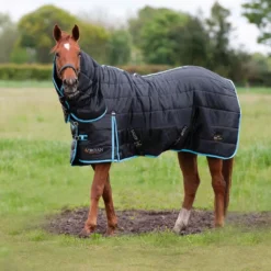Gallop Trojan 300 Combo Stable Rug -Exquisite Equestrian Equipment Store 2002 1 2 1 4 jpg