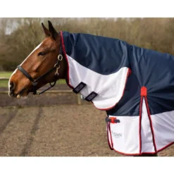 Gallop Trojan Fly Combo Turnout Rug -Exquisite Equestrian Equipment Store 2021 3 1 2 jpg