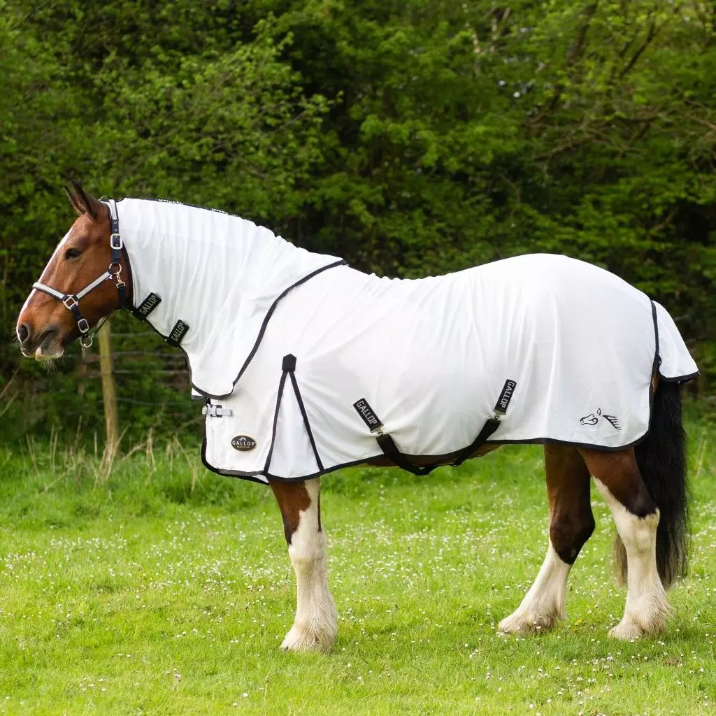 Gallop Dual Fly Rug And Neck Set 12 Gallop Dual Fly Rug And Neck Set - Image 10