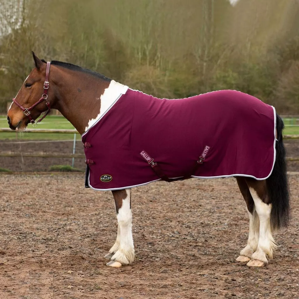 Gallop Jersey Cooler Rug 6 Gallop Jersey Cooler Rug - Image 4
