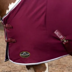 Gallop Jersey Cooler Rug 36 Gallop Jersey Cooler Rug -Exquisite Equestrian Equipment Store 2050 6 6 10 jpg