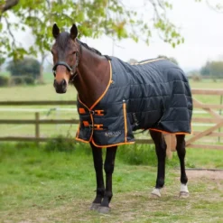 Gallop Trojan 100 Stable Rug 18 Gallop Trojan 100 Stable Rug -Exquisite Equestrian Equipment Store 2100 2 1 4 jpg