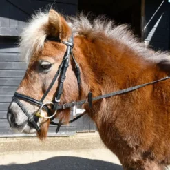 Windsor. Windsor Small Pony Flash Bridle(inc Reins)