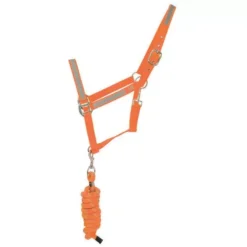 HyVIZ Reflector Head Collar And Lead Rope 19 HyVIZ Reflector Head Collar And Lead Rope -Exquisite Equestrian Equipment Store 28548 reflector head collar and lead rope by hy equestrian orange 01 1 2 jpg