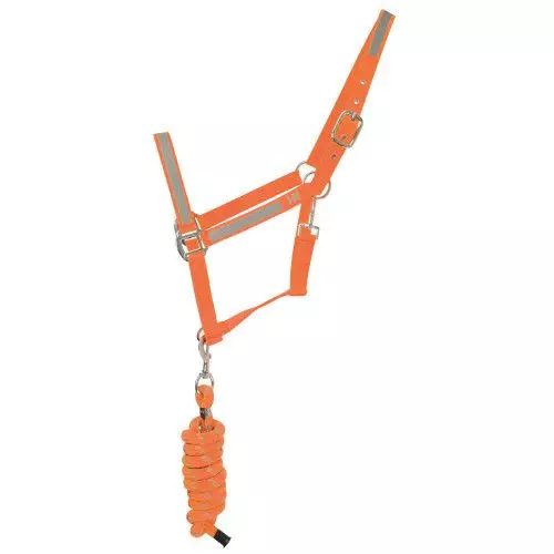 HyVIZ Reflector Head Collar And Lead Rope 5 HyVIZ Reflector Head Collar And Lead Rope - Image 3