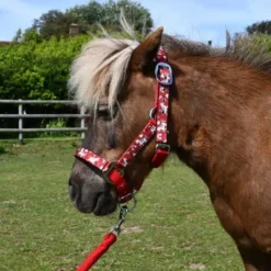 Rhinegold Unicorn Padded Headcollar And Matching Leadrope Set 17 Rhinegold Unicorn Padded Headcollar And Matching Leadrope Set -Exquisite Equestrian Equipment Store 318 red web 1 jpg