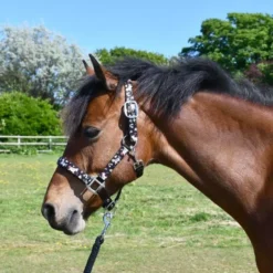 Rhinegold Unicorn Padded Headcollar And Matching Leadrope Set 11 Rhinegold Unicorn Padded Headcollar And Matching Leadrope Set -Exquisite Equestrian Equipment Store 318 black web 2 1 jpg