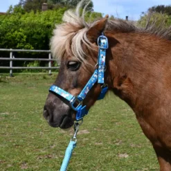 Rhinegold Unicorn Padded Headcollar And Matching Leadrope Set 16 Rhinegold Unicorn Padded Headcollar And Matching Leadrope Set -Exquisite Equestrian Equipment Store 318 web 1 jpg