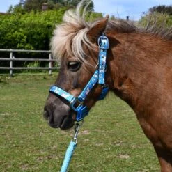 Rhinegold Unicorn Padded Headcollar And Matching Leadrope Set 12 Rhinegold Unicorn Padded Headcollar And Matching Leadrope Set -Exquisite Equestrian Equipment Store 318 web 2