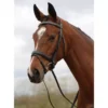 Kincade Padded Crystal Crank Flash Bridle 2 Kincade Padded Crystal Crank Flash Bridle -Exquisite Equestrian Equipment Store 327087 bl 1 jpg