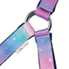 Dazzling Night Head Collar And Lead Rope Set By Little Rider -Exquisite Equestrian Equipment Store 36463 dazzling night head collar by little rider 02 1 1 jpg