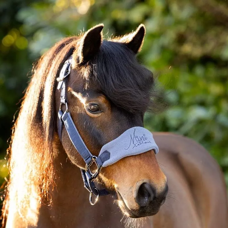 LeMieux Vogue MINI Fleece Headcollar & Leadrope 22 LeMieux Vogue MINI Fleece Headcollar & Leadrope - Image 20