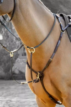 LeMieux Breastplate (D-Ring Attachment) -Exquisite Equestrian Equipment Store 3n6a9700 copy 1 jpg