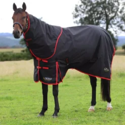 Gallop Trojan 200 Dual Turnout Rug And Neck Set 14 Gallop Trojan 200 Dual Turnout Rug And Neck Set -Exquisite Equestrian Equipment Store 4 700 square 1 6 jpg