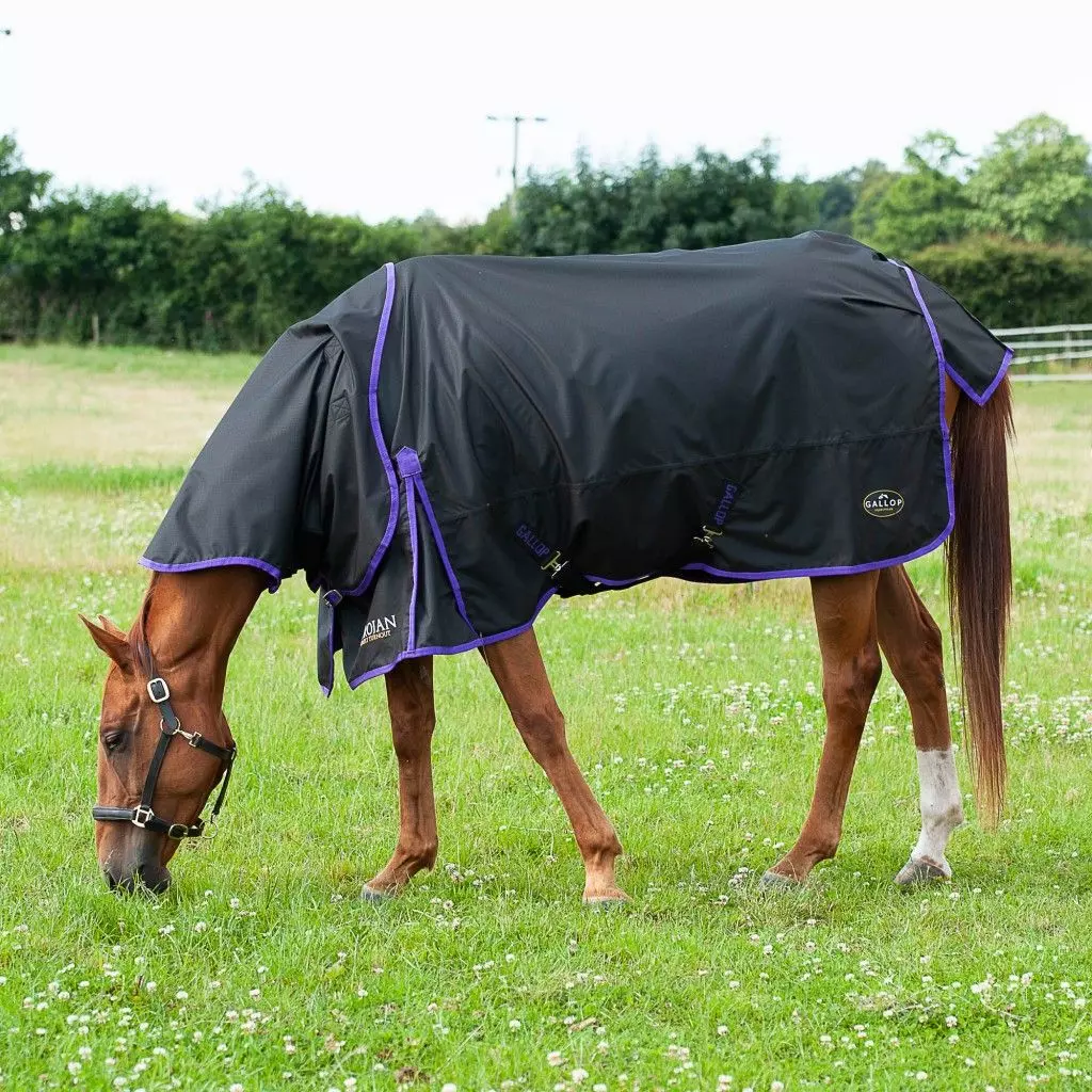 Gallop Trojan Dual Lightweight Turnout Rug And Neck Set 14 Gallop Trojan Dual Lightweight Turnout Rug And Neck Set - Image 12
