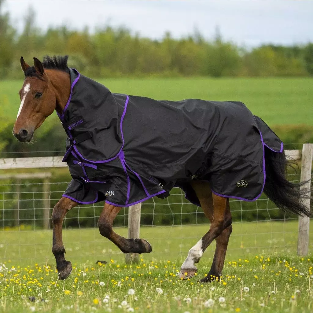 Gallop Trojan Dual Lightweight Turnout Rug And Neck Set 10 Gallop Trojan Dual Lightweight Turnout Rug And Neck Set - Image 8